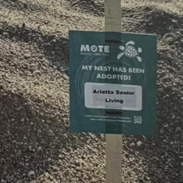 social media post