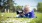 Senior lady lying on her stomach in the grass taking photos of flowers